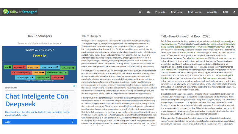 Talk to Strangers random chat platform